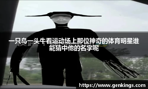 VSport体育